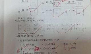 木加一笔变8个字 木字加一笔有24个字