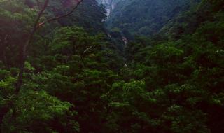 天津到泰山的火车都有几点的 天津到泰山旅游