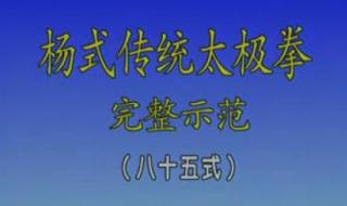 85式杨氏太极拳带口诀 杨式太极拳85式