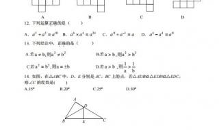 七年级下册期末考试语文作文易考什么 七年级下册期末试卷