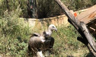 想去西宁野生动物园下了火车怎么走 西宁市野生动物园