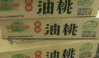 中通快递没单号怎么查单号 中通快递号查询