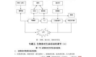 海南高中生物合格考必考知识点 高二生物知识点总结