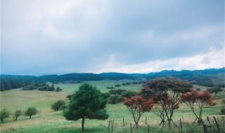 天坑三桥仙女山旅游攻略 仙女山攻略