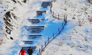 雪花那个飘里有辛柏青吗 雪花那个飘片尾曲