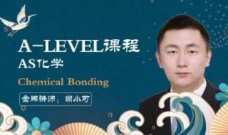 a-level可以在网上查吗 alevel补课机构有哪些