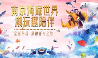 上海海洋水族馆的门票可以当场买吗排队买票的人多吗 上海海底世界门票