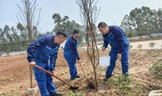 中交一航局和中交一公局哪个好 中交一航局五公司