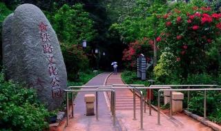 钟鼓索道要不要进园林植物园 园林植物园