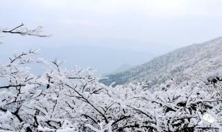 四月什么节气 四月下雪代表什么