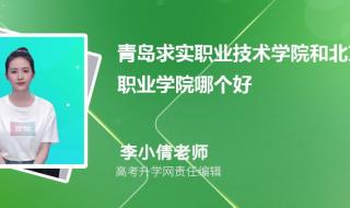 青岛大学专科都有哪些专业 青岛大学专科分数线