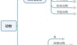 高一地理生物知识点 初二生物上册知识点