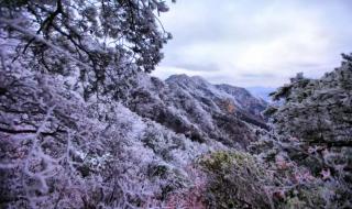 威海什么时候下雪啊 雪窝威海暴雪持续