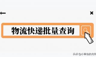 中通快递单号怎么查啊 中通快运物流查单号码查询