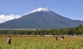 有什么方法能阻止富士山爆发 专家分析富士山喷发可能性