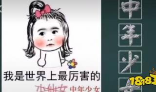 中二妇女是什么意思 中年少女是什么意思啊