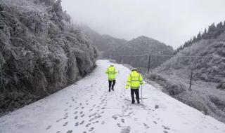 雨夹雪和冰雹的区别 冻雨和雪有什么区别