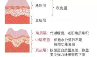 燕之典胶原蛋白和汤臣倍健哪个好 口碑最好的胶原蛋白