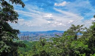 岳麓书院与岳麓山风景区区别 岳麓山风景区