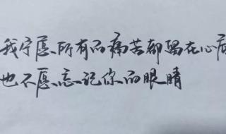 经过多少磨难从不让我难过我知道你也那么爱我是哪首歌里的歌词 你被写在我的歌里歌词