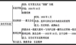 八年级上册历史应该怎么学